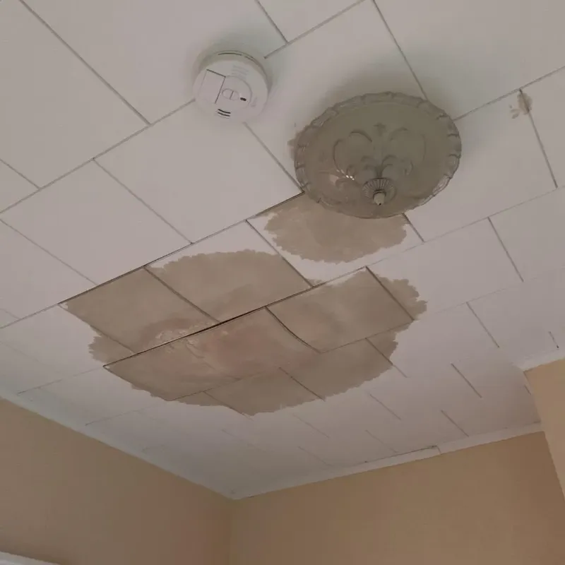 Ceiling Water Damage Repair in Woodbridge, VA