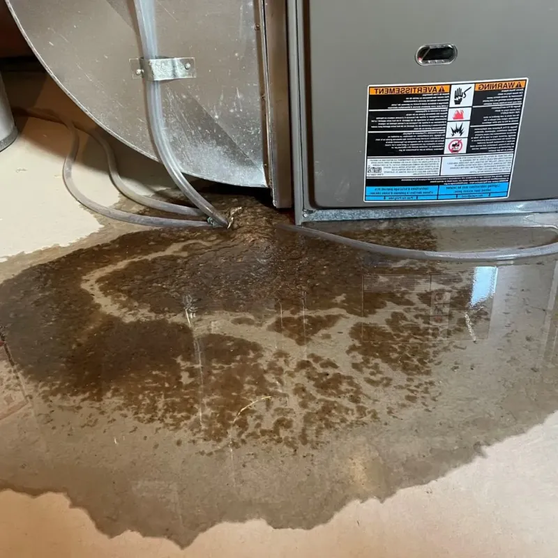 Pipe Burst and Leak Restoration in Woodbridge, VA